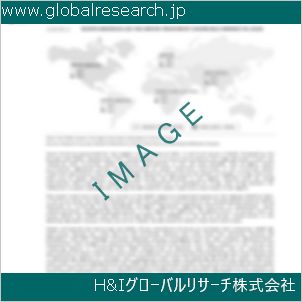 グローバルリサーチ調査資料のイメージ